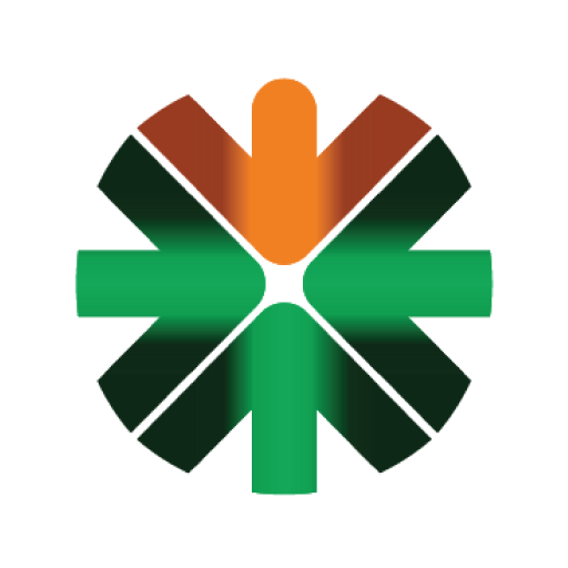 Vikas Ecotech Share Price
